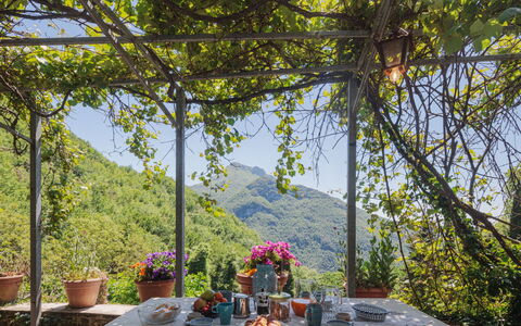 Paradiso: Table, Fleur, Plante, Propriété, Pot De Fleur, Vaisselle, Ombre, Fenêtre, Paysage Naturel, Matin