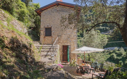 L'Oliveto: Plante, Bâtiment, Fenêtre, Ciel, Arbre, Paysage, Zone Rurale, Mobilier De Jardin, Maison, Chalet