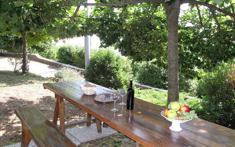 Villetta degli Orti: Table, Vaisselle, Plante, Meubles, Aliments, Tableau De Plein Air, La Nature, Botanique, Mobilier De Jardin, Arbre