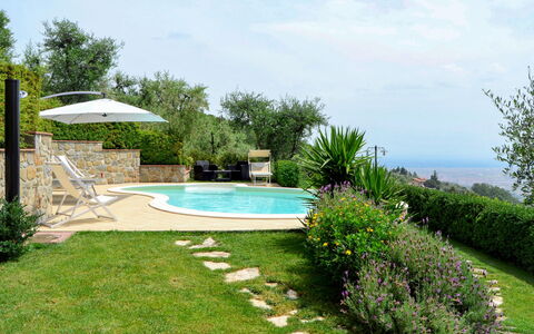 Villa i Cipressi: Propriété, Herbe, Piscine, Pelouse, Paysage Naturel, Arrière-Cour, Jardin, Cour, Paysage, Immobilier