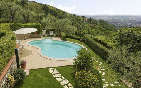 Villa i Cipressi: Plante, Ciel, L'Eau, Piscine, Arbre, Paysage Naturel, Végétation, Nuage, Herbe, Bâtiment