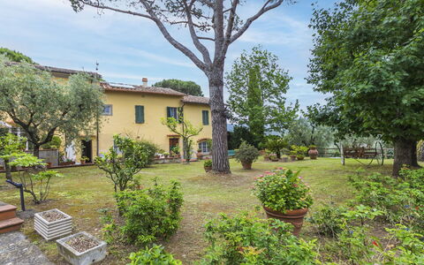 Monsummano Terme 604: L'Eau, Ciel, Plante, Propriété, Piscine, Bleu Azur, Ombre, Mobilier De Jardin, Balancelle, Arbre