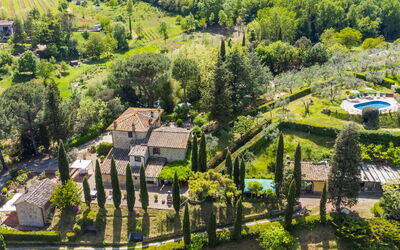 Il Sangiovese