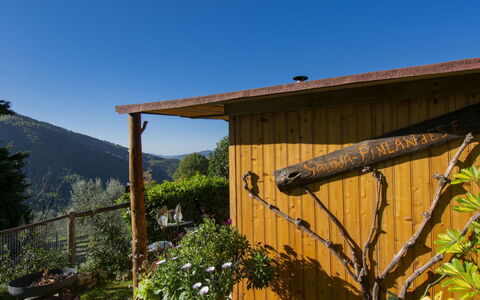 Il Poderino: Ciel, Plante, Propriété, Bâtiment, Bois, Arbre, Ombre, Chalet, Paysage, Zone Rurale