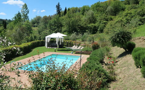 Amos: L'Eau, Plante, Ciel, Piscine, Arbre, Botanique, Paysage Naturel, Chaise, Mobilier De Jardin, Rectangle