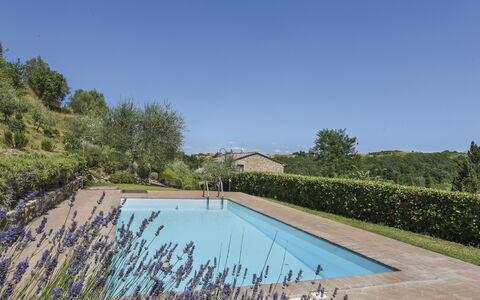 Amos: L'Eau, Plante, Ciel, Piscine, La Nature, Bleu Azur, Paysage Naturel, Arbre, Végétation, Lot Terre