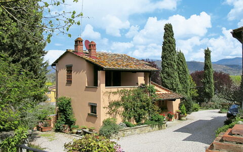Cadellura: Plante, Ciel, Nuage, Fenêtre, Bâtiment, Lot Terre, Arbre, Maison, Zone Résidentielle, Chalet