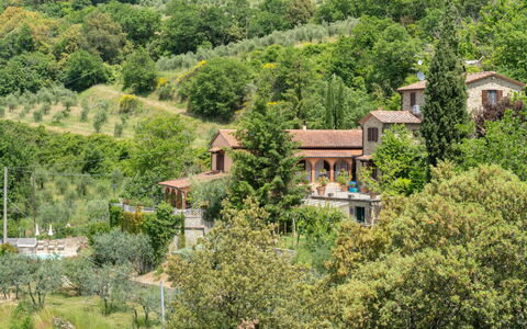 La Felcaia: Plante, Communauté Des Plantes, Paysage Naturel, Arbre, Lot Terre, Montagnes, Zone Résidentielle, Immobilier, Couverture De Sol, Arbuste