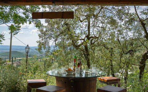 La Felcaia: Plante, Table, Meubles, Lumière, Botanique, La Nature, Bois, Ombre, Ciel, Paysage Naturel