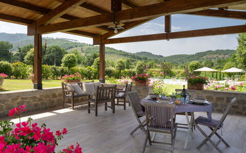 Santa Lucia: Plante, Fleur, Table, Meubles, Propriété, Pot De Fleur, Chaise, Design Intérieur, Mobilier De Jardin, Ombre