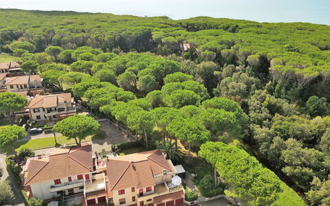 Pineforest: Propriété, Ciel, Plante, Bâtiment, Arbre, Paysage Naturel, Maison, Lot Terre, Design Urbain, Paysage