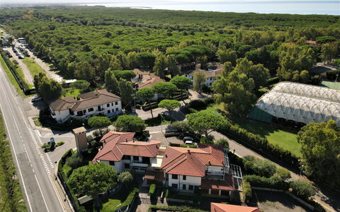 Palazzeta Ii: Ciel, Plante, Bâtiment, Lot Terre, Arbre, Design Urbain, Quartier, Zone Résidentielle, Maison, Paysage