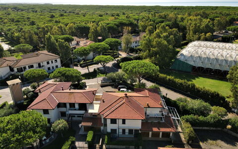 Palazzeta Ii: Plante, Propriété, Ciel, Bâtiment, Arbre, Architecture, Design Urbain, Lot Terre, Végétation, Fenêtre