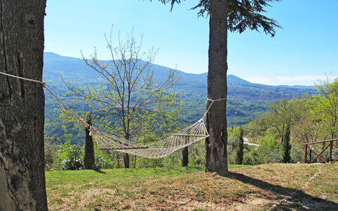 Villa al Sole: Arbre, Végétation, Région Sauvage, Ciel, Montagne, Herbe, Suppression Des Plantes Ligneuses, Mur, Colline, Printemps