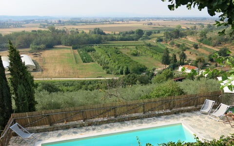Maestraccio: Propriété, Piscine, Paysage Naturel, Ressources En Eau, Maison, Zone Rurale, Immobilier, Vacances, Biens, Villa