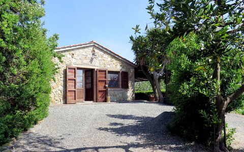 Il Campo: Plante, Ciel, Bâtiment, Fenêtre, Arbre, Ombre, Lot Terre, Maison, Porte, Surface De La Route
