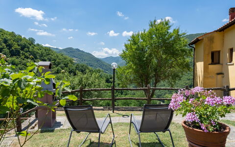 Villa: Plante, Nuage, Ciel, Propriété, Communauté Des Plantes, Pot De Fleur, Vert, Fleur, Bâtiment, Fenêtre