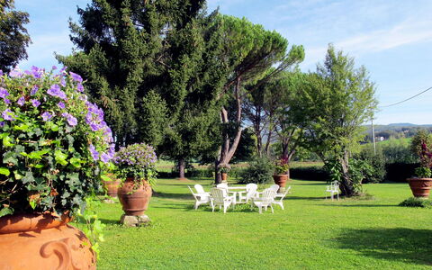 Laura: Plante, Ciel, Nuage, Propriété, Pot De Fleur, Fleur, Botanique, Arbre, Paysage Naturel, Herbe