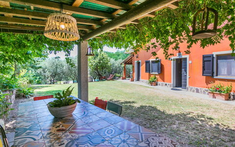 Podere Cerbaia (Smr100): Plante, Pot De Fleur, Bâtiment, Plante D'Appartement, Fenêtre, Ombre, Architecture, Design Intérieur, Loisir, Arbre