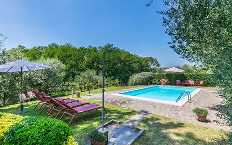 Podere Cerbaia (Smr100): Plante, L'Eau, Ciel, Piscine, Ombre, Mobilier De Jardin, Arbre, Parapluie, Herbe, Loisir