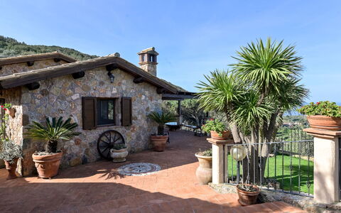 Ricali: Pot De Fleur, Domicile, Porte, Plante D'Appartement, Chalet, Jardin, Dalle, Biens, Aménagement Paysager, Hacienda