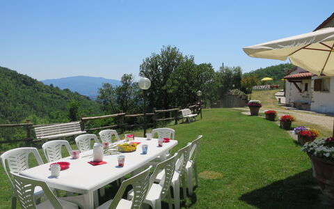 Podere le Ripe: Ciel, Table, Plante, Meubles, Vaisselle, La Nature, Chaise, Botanique, Herbe, Mobilier De Jardin