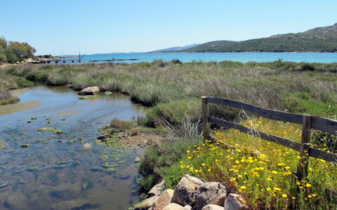 Rita: Plan D'Eau, Ressources En Eau, Banque, Végétation, Environnement Naturel, L'Eau, Rivière, Paysage Naturel, Rive, Voie Navigable