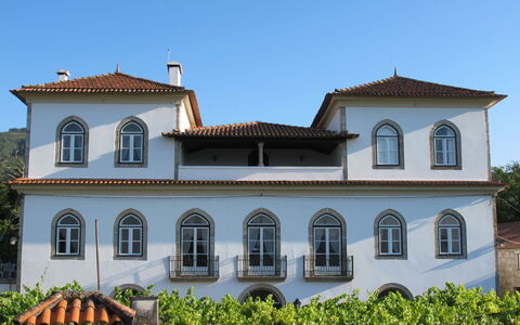 De Ferreira: Plante, Ciel, Bâtiment, Fenêtre, Arbre, Maison, Façade, Toit, Arecales