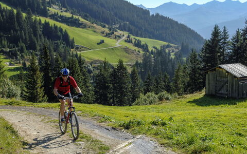 Valmeinier 606: Vélo, Roue, Plante, Montagne, Ciel, Roue De Bicyclette
