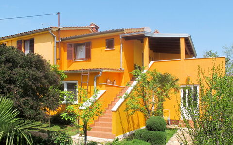 Smilja: Plante, Ciel, Bâtiment, Fenêtre, Maison, Arbre, Quartier, Zone Résidentielle, Immobilier, Paysage