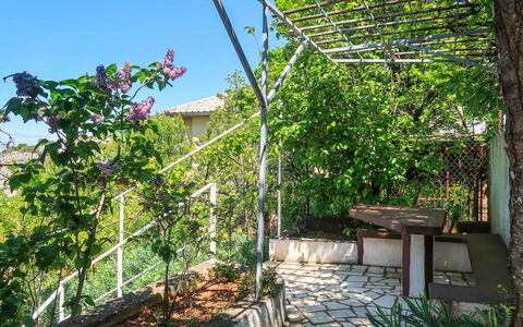 Senj 631: Ombre, Jardin, Arrière-Cour, Clôture, Balustrade, Structure En Plein Air
