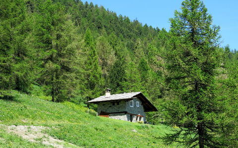 Casot Pra Viei: Plante, Ciel, Montagne, Communauté Des Plantes, Vert, Paysage Naturel, Arbre, Mélèze, Montagnes, Pente