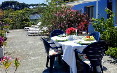 San Lorenzo al Mare 625: Plante, Table, Fleur, Propriété, Meubles, Bâtiment, Fenêtre, Tableau De Plein Air, Feuille, Ciel