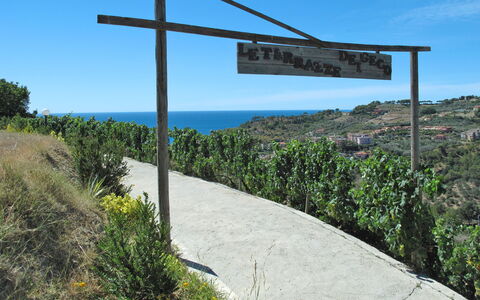 San Lorenzo al Mare 639: Ciel, Plante, Communauté Des Plantes, Écorégion, La Nature, Environnement Naturel, Paysage Naturel, Pente, Lot Terre, Végétation