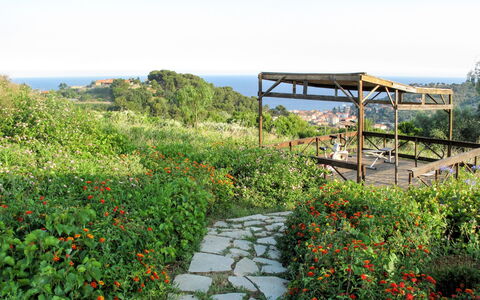 San Lorenzo al Mare 639: Fleur, Ciel, Plante, Communauté Des Plantes, Paysage Naturel, Lot Terre, Arbre, Mobilier De Jardin, Herbe, Ombre