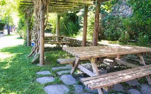 Dolcedo 663: Plante, Meubles, Extérieur Banc, Ombre, Mobilier De Jardin, Table De Pique-Nique, Bois, Végétation, Arbre, Biome
