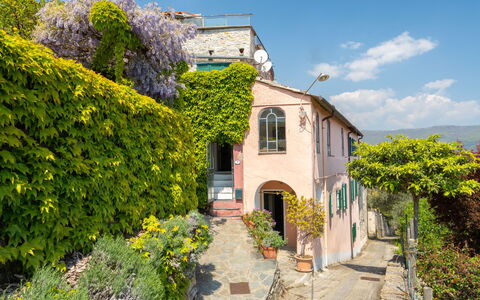 Dolcedo 665: Ciel, Plante, Fleur, Nuage, Bâtiment, Propriété, Fenêtre, Maison, Architecture, Végétation