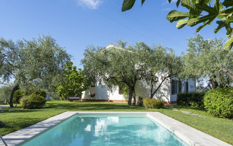 Diano Marina 626: Piscine, Propriété, Immobilier, Paysage Naturel, Domicile, Biens, Arrière-Cour, Maison, Zone Résidentielle, Herbe