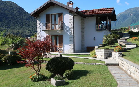 Iride: Plante, Ciel, Bâtiment, Propriété, Fenêtre, Vert, Maison, Lot Terre, Herbe, Arbre