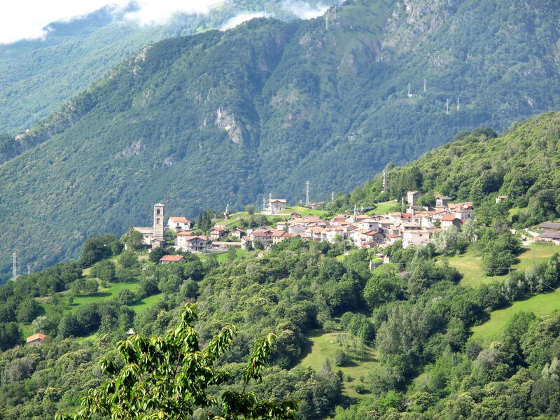 Bellavista Grv391
