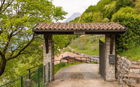 Varenna 618: Plante, Communauté Des Plantes, Ciel, Arbre, Botanique, Paysage Naturel, Ombre, Bois, Surface De La Route, Biome