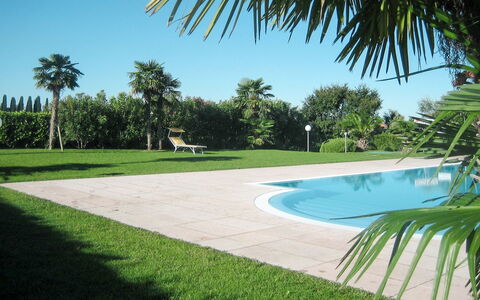 Le Camelie: Ciel, L'Eau, Plante, Paysage Naturel, Arbre, Ombre, Arecales, Végétation, Herbe, Paysage