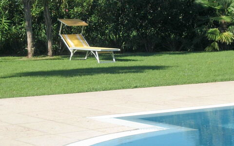 Le Camelie: Ciel, Jour, Propriété, Plante, Botanique, Bleu Azur, Arbre, Herbe, Mobilier De Jardin, Loisir