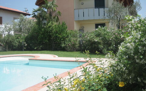 Lazise 717: L'Eau, Plante, Bâtiment, Fenêtre, Botanique, Piscine, Végétation, Lot Terre, Herbe, Fleur