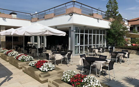 Moniga del Garda 653: Ciel, Fleur, Plante, Propriété, Meubles, Parapluie, Pot De Fleur, Ombre, Arbre, Table