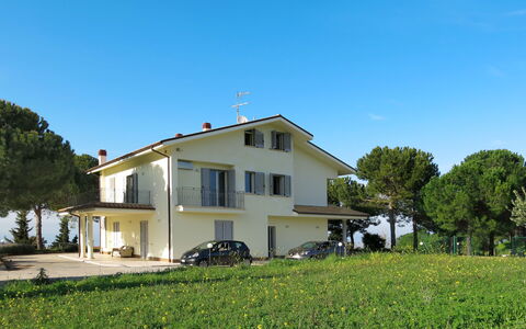 Pineto 636: Plante, Ciel, Bâtiment, Fenêtre, Arbre, Maison, Lot Terre, Végétation, Paysage Naturel, Chalet