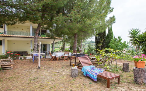 Pineto 636: Plante, Pot De Fleur, La Nature, Extérieur Banc, Bâtiment, Ombre, Arbre, Mobilier De Jardin, Fenêtre, Chaise