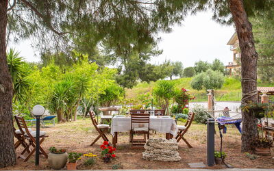 Michela 636.2: Bois, Éclairage, Design Intérieur, Sol, Sol, Salon, Immobilier, Dur, Table, Faisceau