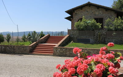 Terricciola 603