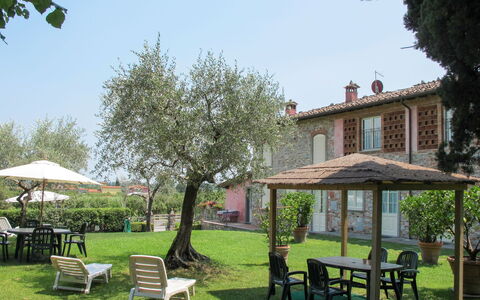 Lucca 657: Mobilier De Jardin, Arbuste, Maison, Tableau De Plein Air, Meubles, Domicile, Jardin, Pelouse, Arrière-Cour, Biens